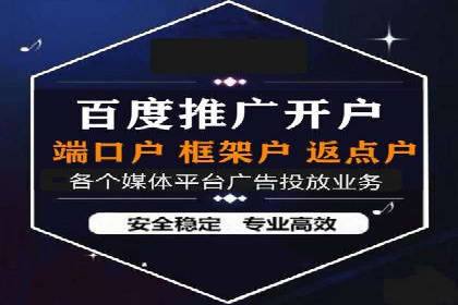 专业SEM推广托管，案例见证效果